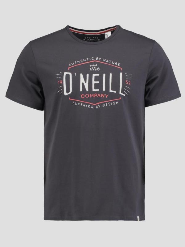 Tričko O´Neill LM TYPE T-SHIRT Šedá