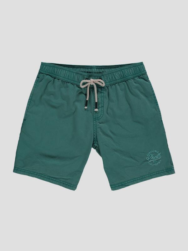 Kraťasy O´Neill LB SURFS OUT SHORTS Zelená