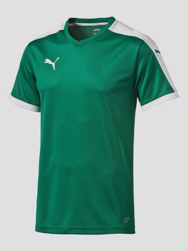 Tričko Puma Pitch Shortsleeved Shirt Zelená
