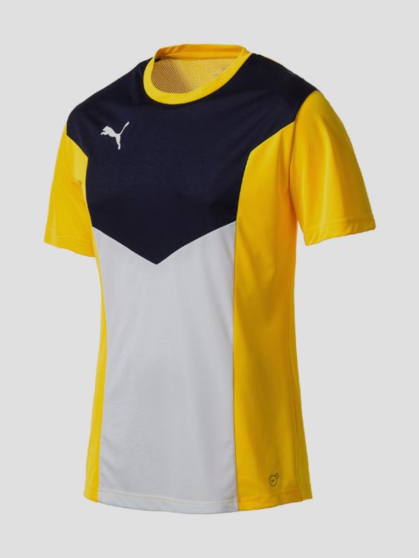 Tričko Puma ftblTRG Shirt Barevná