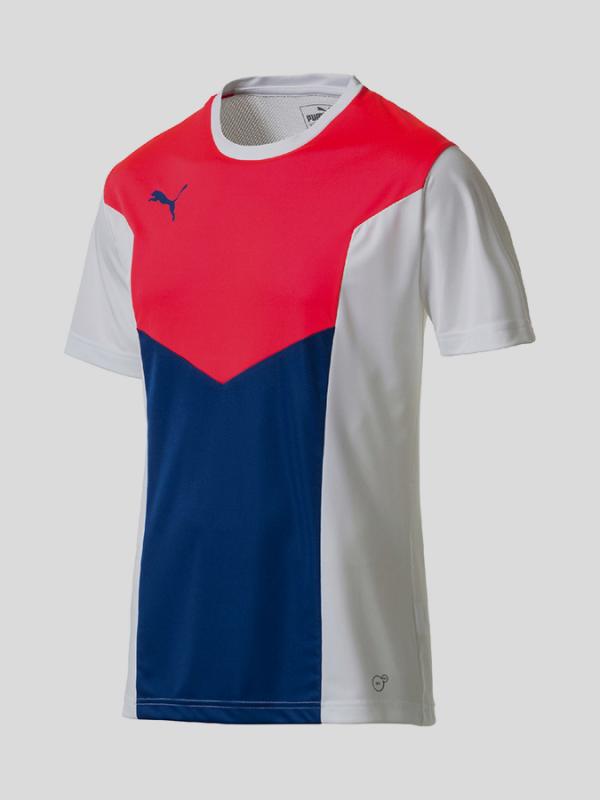 Tričko Puma ftblTRG Shirt Barevná