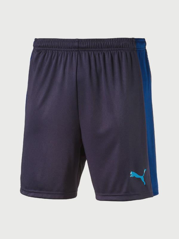 Kraťasy Puma evoTRG Shorts Modrá