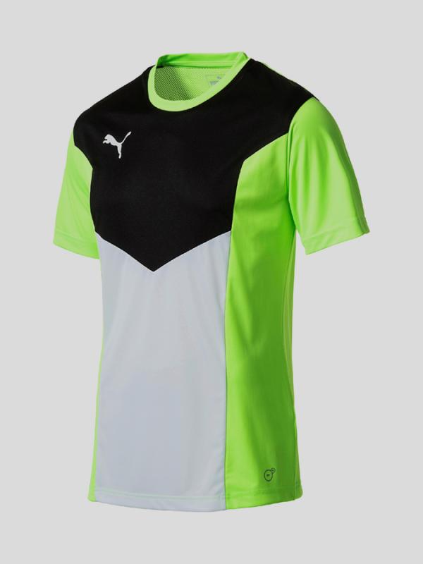 Tričko Puma ftblTRG Shirt Barevná