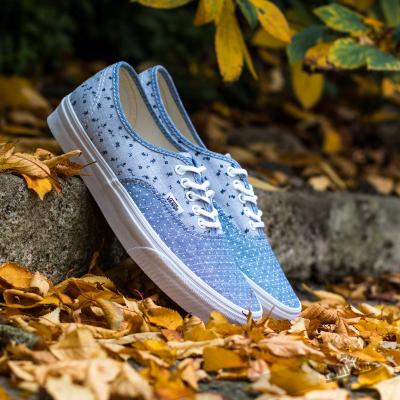 Vans Authentic Mixed Chambray/Blue