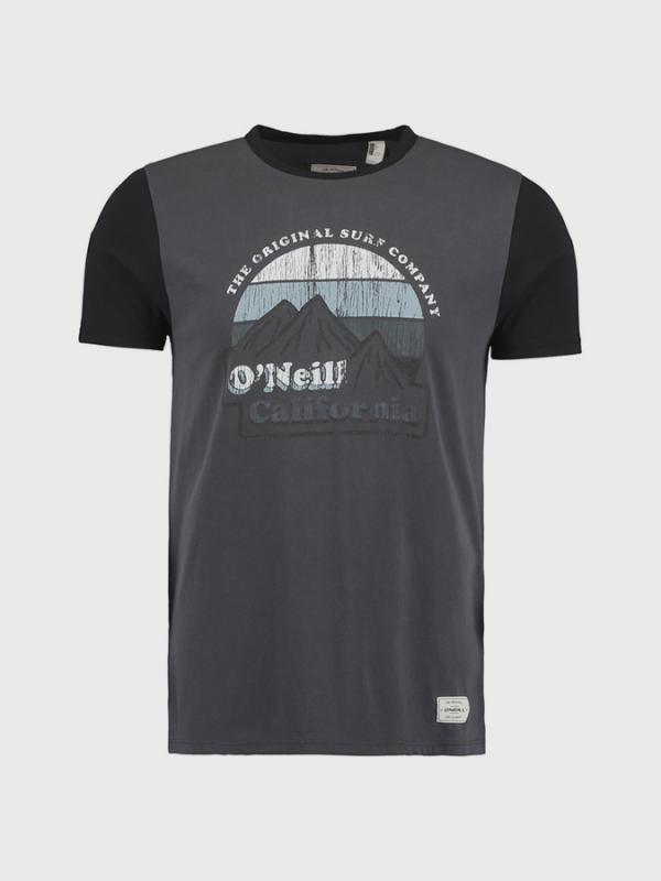 Tričko O´Neill LM Take Me To.. T-Shirt Šedá