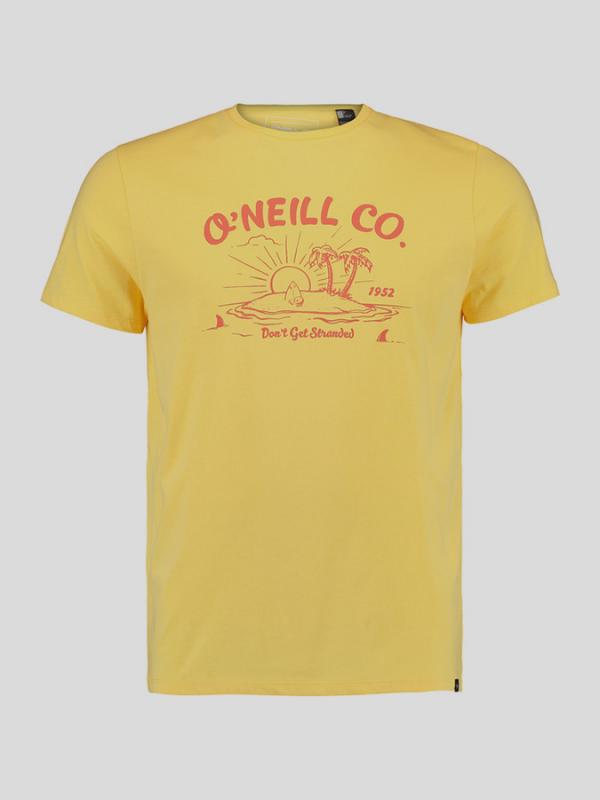 Tričko O´Neill LM STRANDED T-SHIRT Žlutá