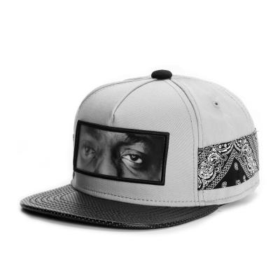 Cayler & Sons WL Eyes On Me Cap Grey/Black/Paisley