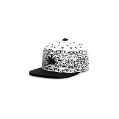 Cayler & Sons GL Hazely Cap White/Black/Gold