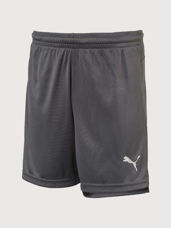 Kraťasy Puma ftblNXT Shorts Jr Šedá