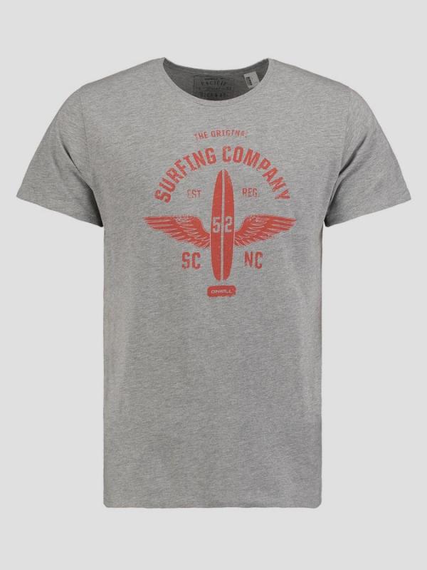 Tričko O´Neill LM FONTIER T-SHIRT Stříbrná