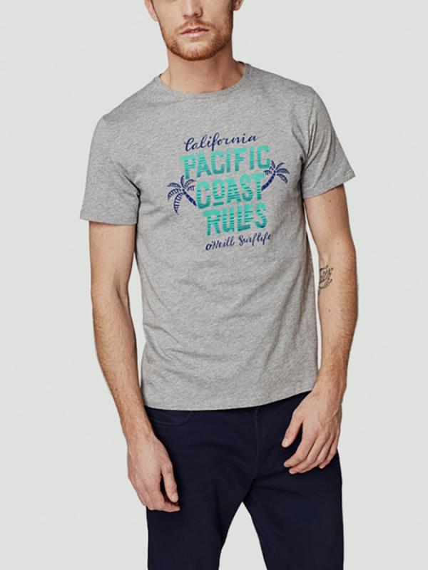 Tričko O´Neill LM PACIFIC COAST T-SHIRT Šedá