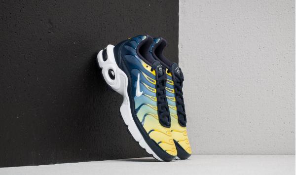 Nike Air Max Plus (GS) Obsidian/ White-Gym Blue