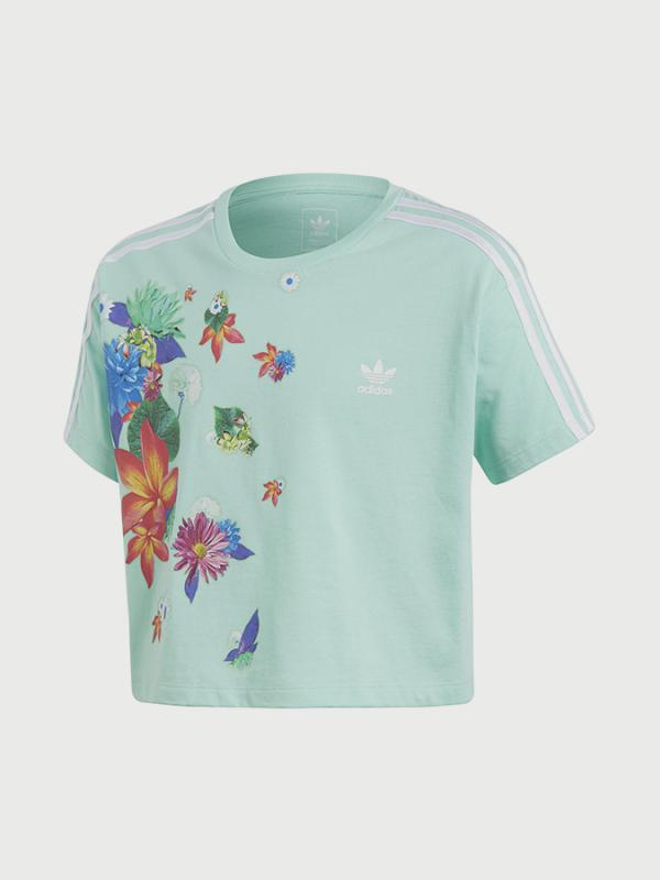 Tričko adidas Originals J Grphc Cpd Tee Zelená