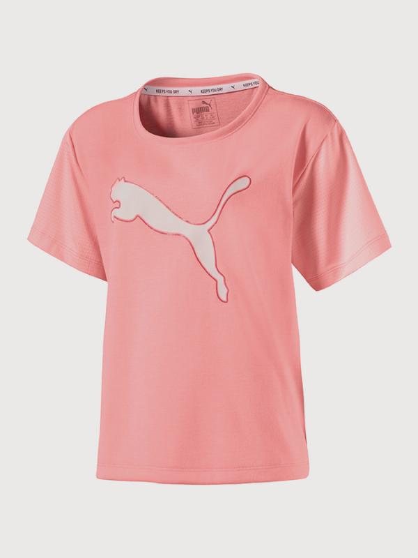 Tričko Puma Softsport Graphic Tee Barevná