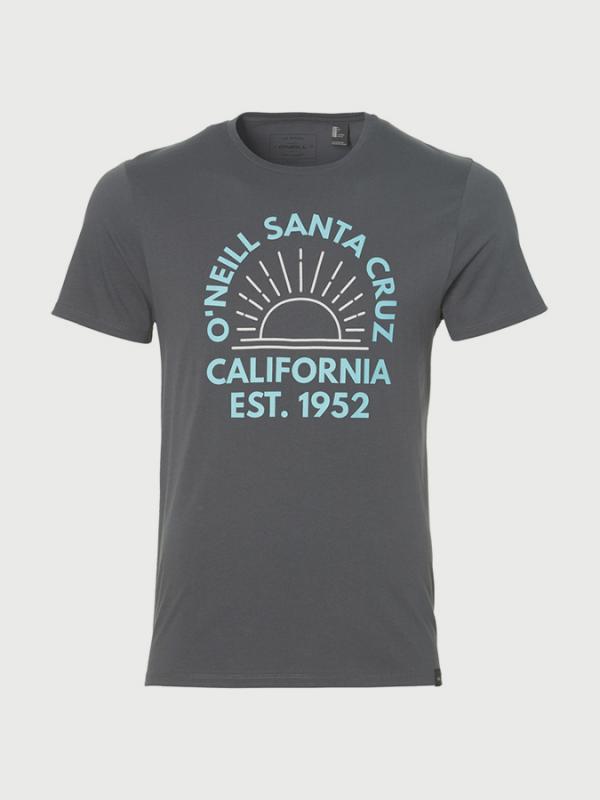 Tričko O´Neill Lm Through The Lens T-Shirt Šedá