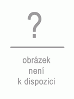Kompresní tričko Reebok Actvchl Graphic Comp Tee