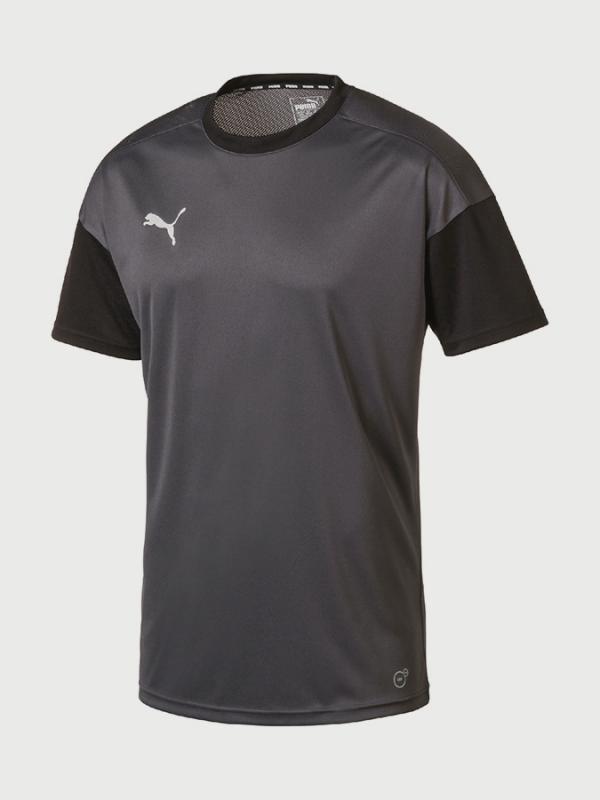 Tričko Puma ftblNXT Training Tee Šedá