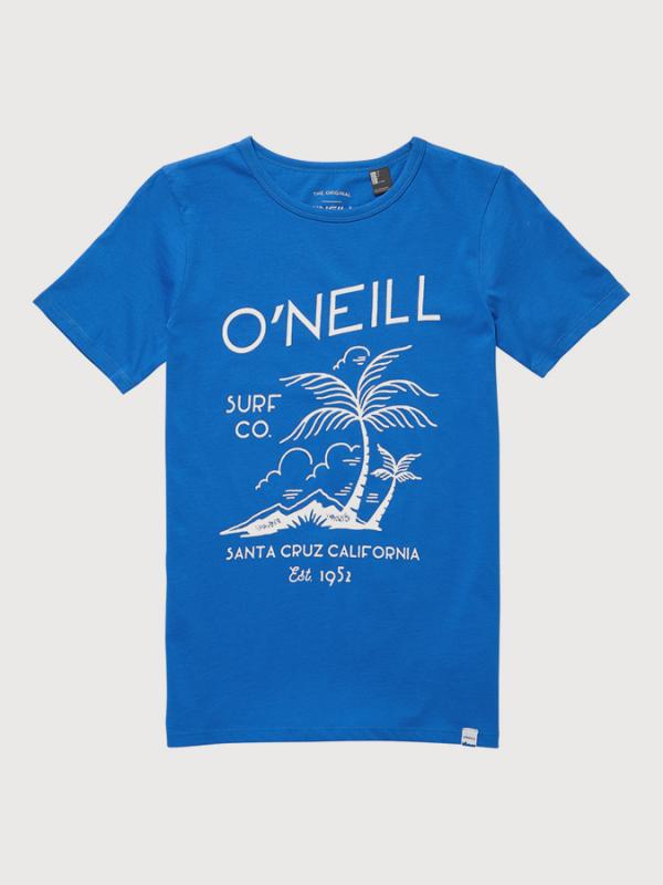 Tričko O´Neill Lb 1952 S/Slv T-Shirt Modrá