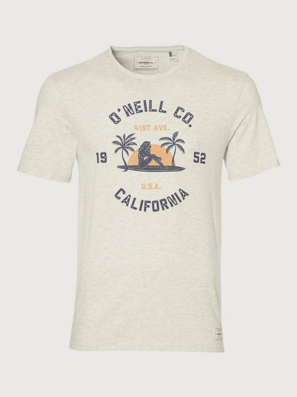 Tričko O´Neill Lm Surf Co. T-Shirt Bílá