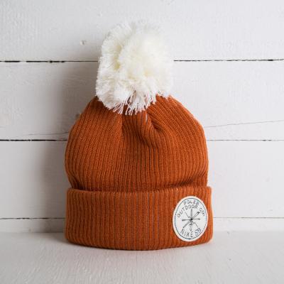Nike SB x Poler Beanie