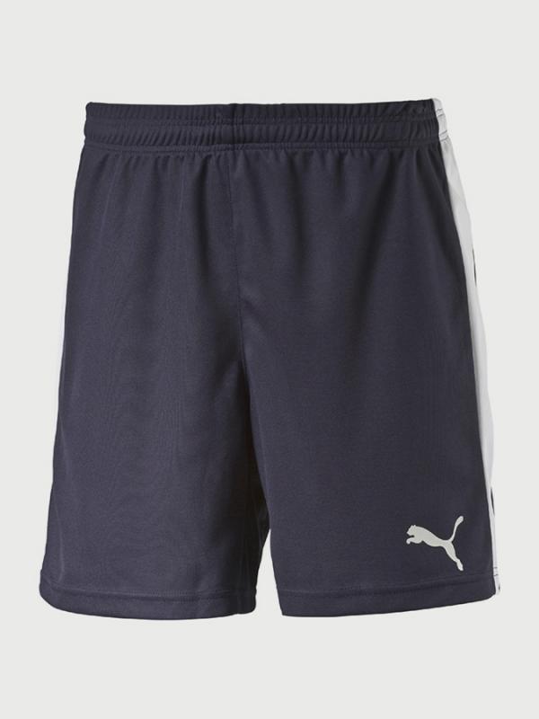 Kraťasy Puma Pitch Shorts Without Inne Modrá