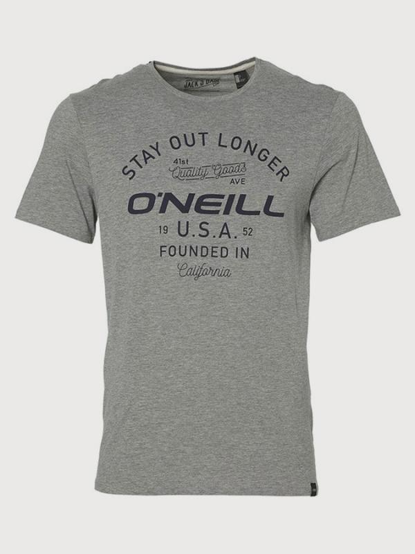 Tričko O´Neill LM Foundation T-Shirt Šedá
