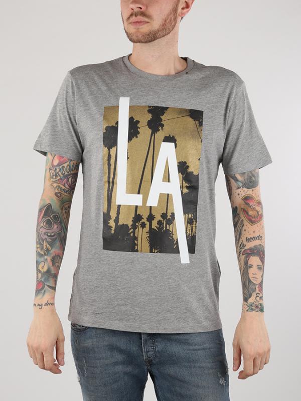 Tričko Replay M3473 T-Shirts Šedá