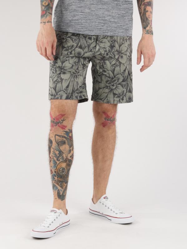 Kraťasy Replay M9610 Shorts Šedá