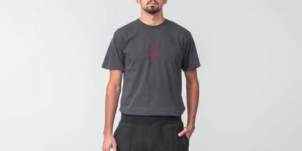 Stüssy Stock Lion Pigment Dyed Tee Black