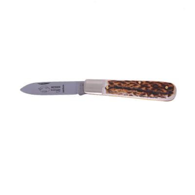 Kapesní nůž Otter Messer Buckhorn Knife Small handle buckhorn