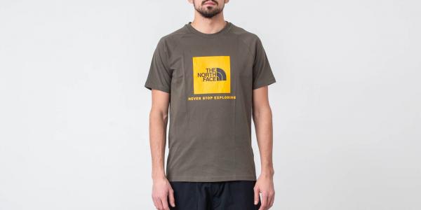 The North Face Raglan Red Box Tee New Taupe Green