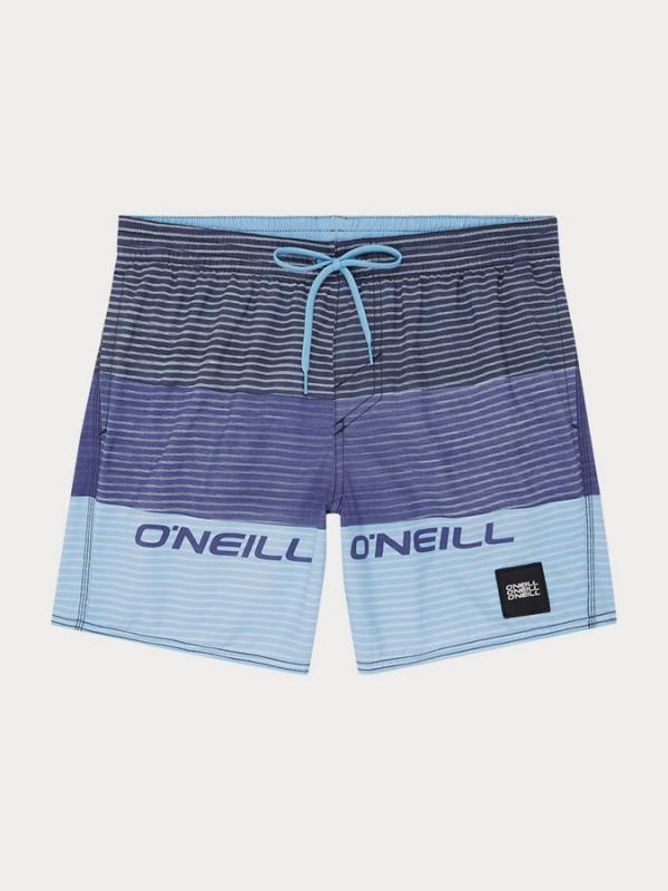 Boardshortky O´Neill Pm Radious Shorts Barevná