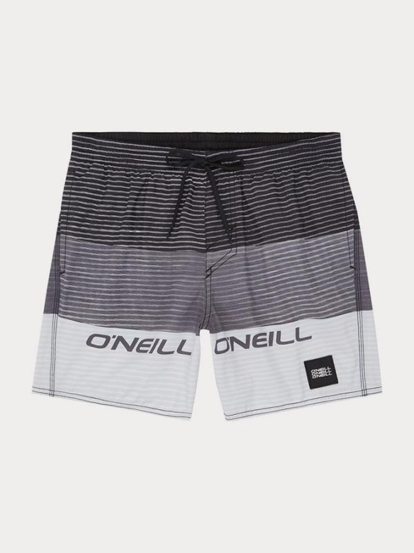 Boardshortky O´Neill Pm Radious Shorts Barevná