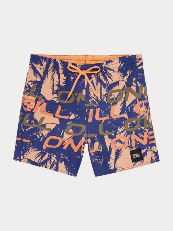 Boardshortky O´Neill Pm Stacked Shorts Barevná