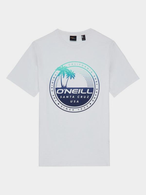 Tričko O´Neill Lm Palm Island T-Shirt Modrá