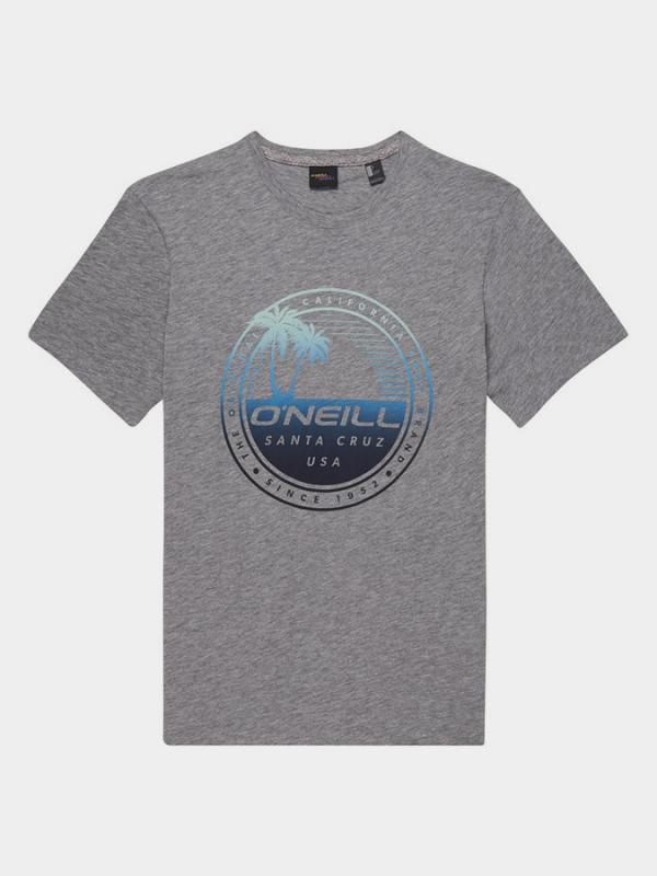 Tričko O´Neill Lm Palm Island T-Shirt Šedá