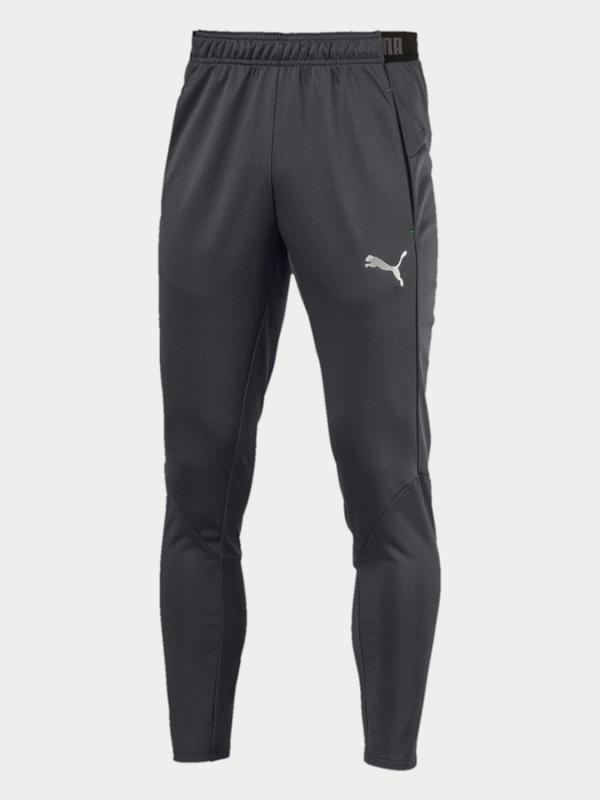 Tepláky Puma Ftblnxt Pant Šedá