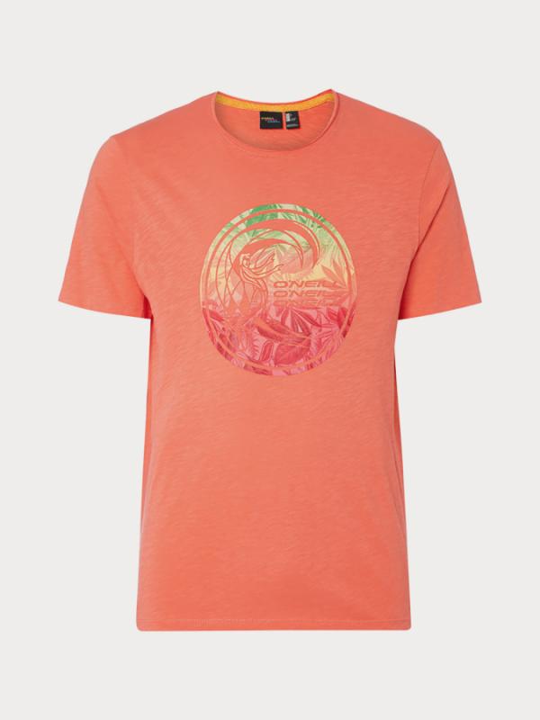 Tričko O´Neill Lm T-Shirt Oranžová