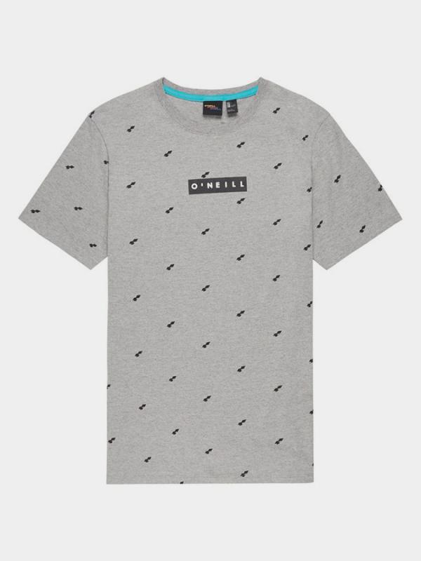 Tričko O´Neill Lm Allover Summer T-Shirt Šedá