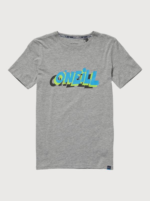 Tričko O´Neill Lb Surf Cruz S/Slv T-Shirt Šedá