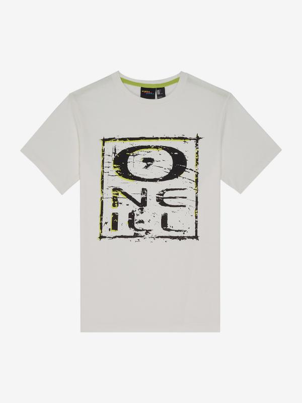 Tričko O´Neill Lb O' T-Shirt Šedá