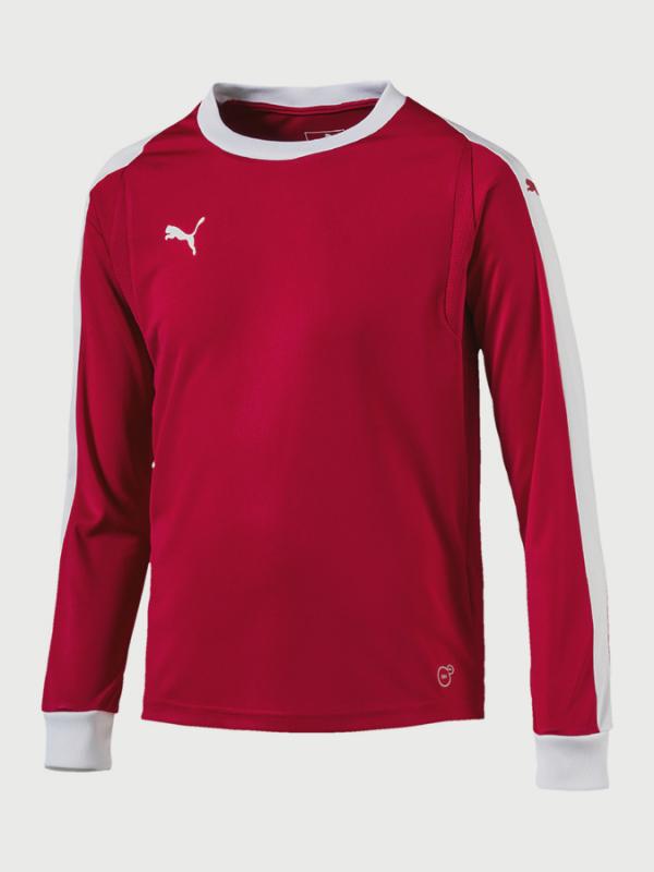 Tričko Puma Liga Gk Jersey Jr Bílá