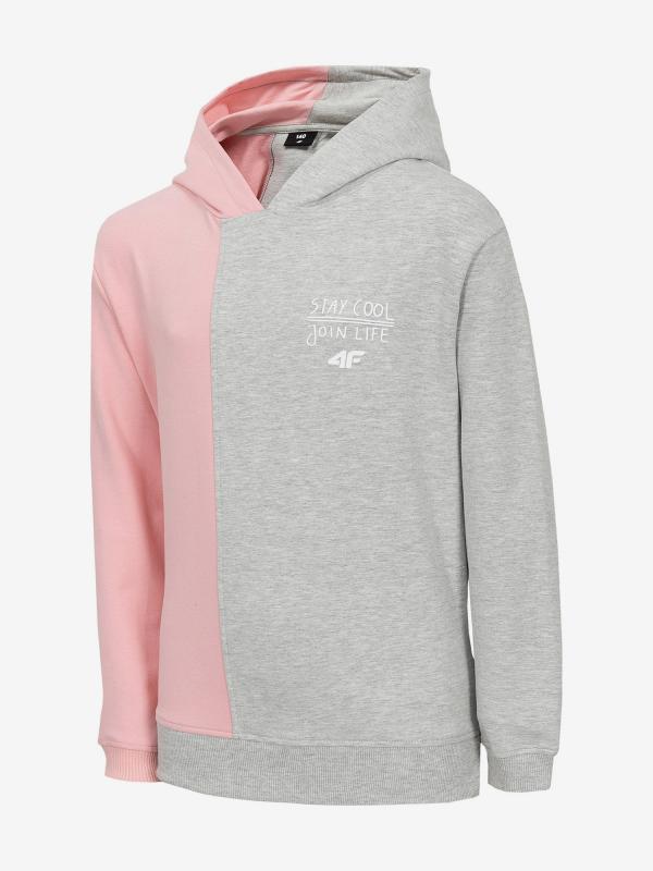 Mikina 4F Jbld203 Sweatshirt Barevná