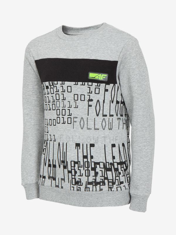 Mikina 4F Jblm210 Sweatshirt Šedá
