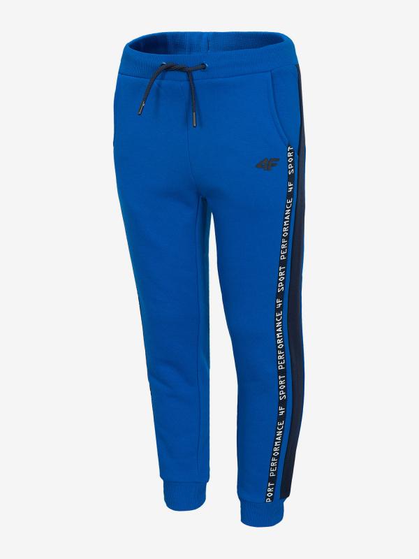 Tepláky 4F Jspmd210A Trousers Modrá