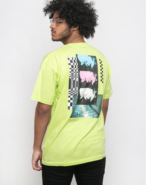 Vans Rainbow Orchid Sharp Green XL