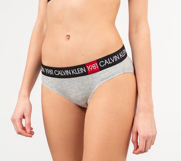 Calvin Klein 1981 Bold Brief Bikini Grey