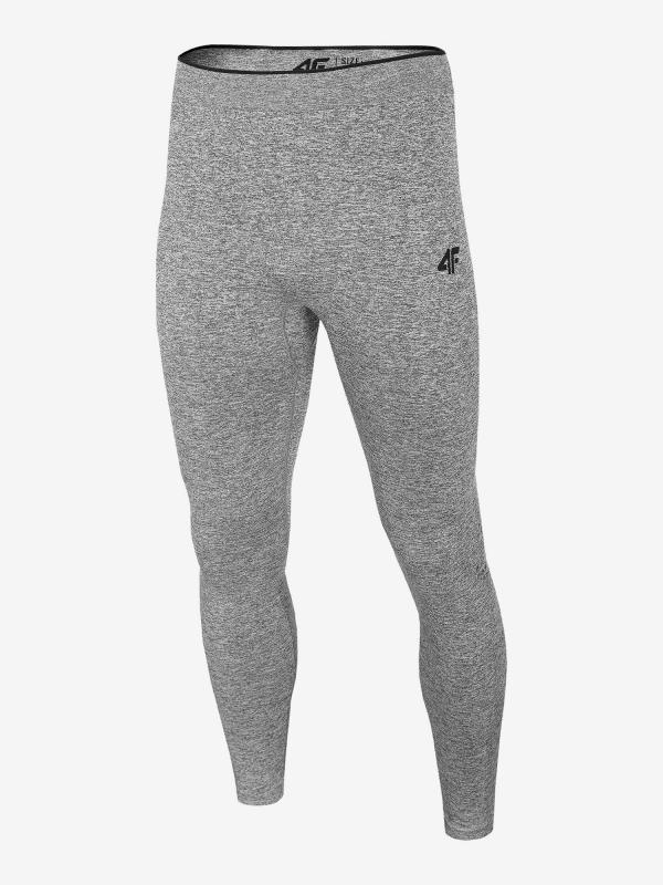 Legíny 4F Bimb301D Seamless Underwear Šedá