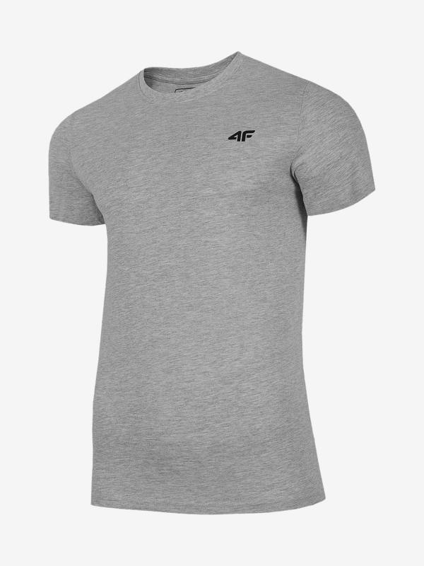 Tričko 4F Tsm300 T-Shirt Šedá