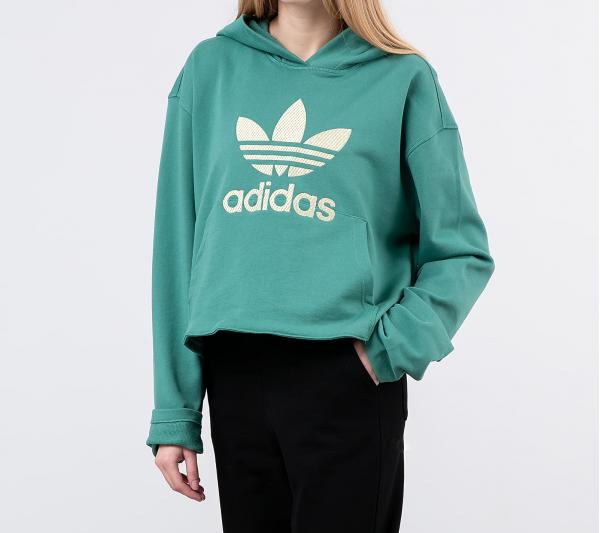 adidas Logo Hoodie Future Hydro F10